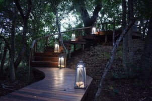 Uma passarela de madeira com lanternas, cercada por árvores e que leva a uma escadaria de madeira.