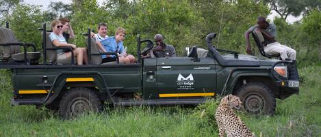 A safari vehicle with passengers and a cheetah in a grassy area.