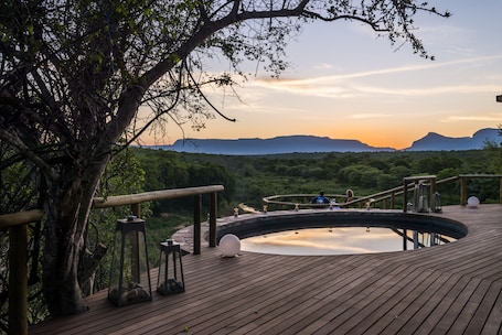 Superior Suite | 1 bedroom, premium bedding, pillowtop beds, free minibar items. AM Lodge
