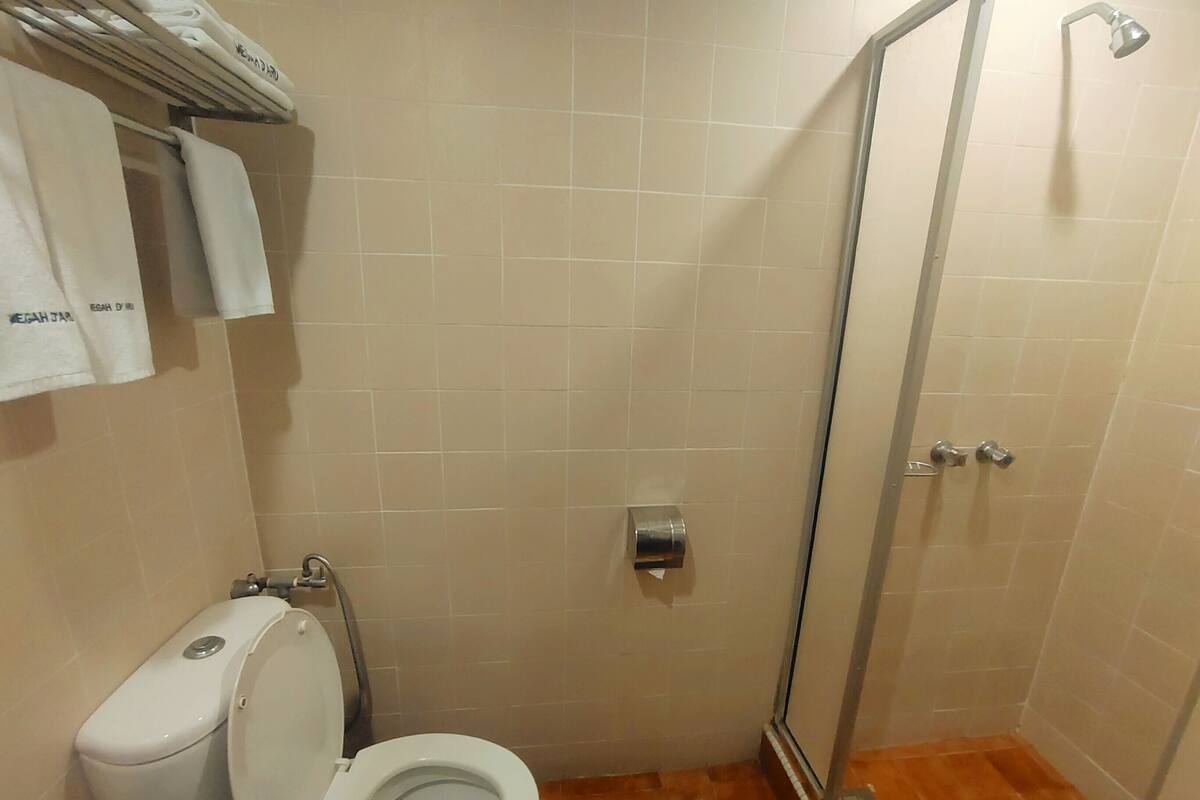 shower, free toiletries, hair dryer, slippers