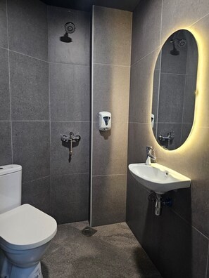 Shower, free toiletries, hair dryer, bidet