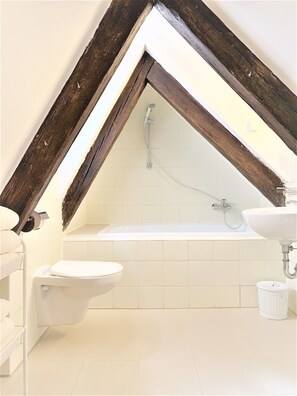 Family Apartment, Kitchen, City View | Bathroom | Free toiletries, hair dryer, slippers, towels