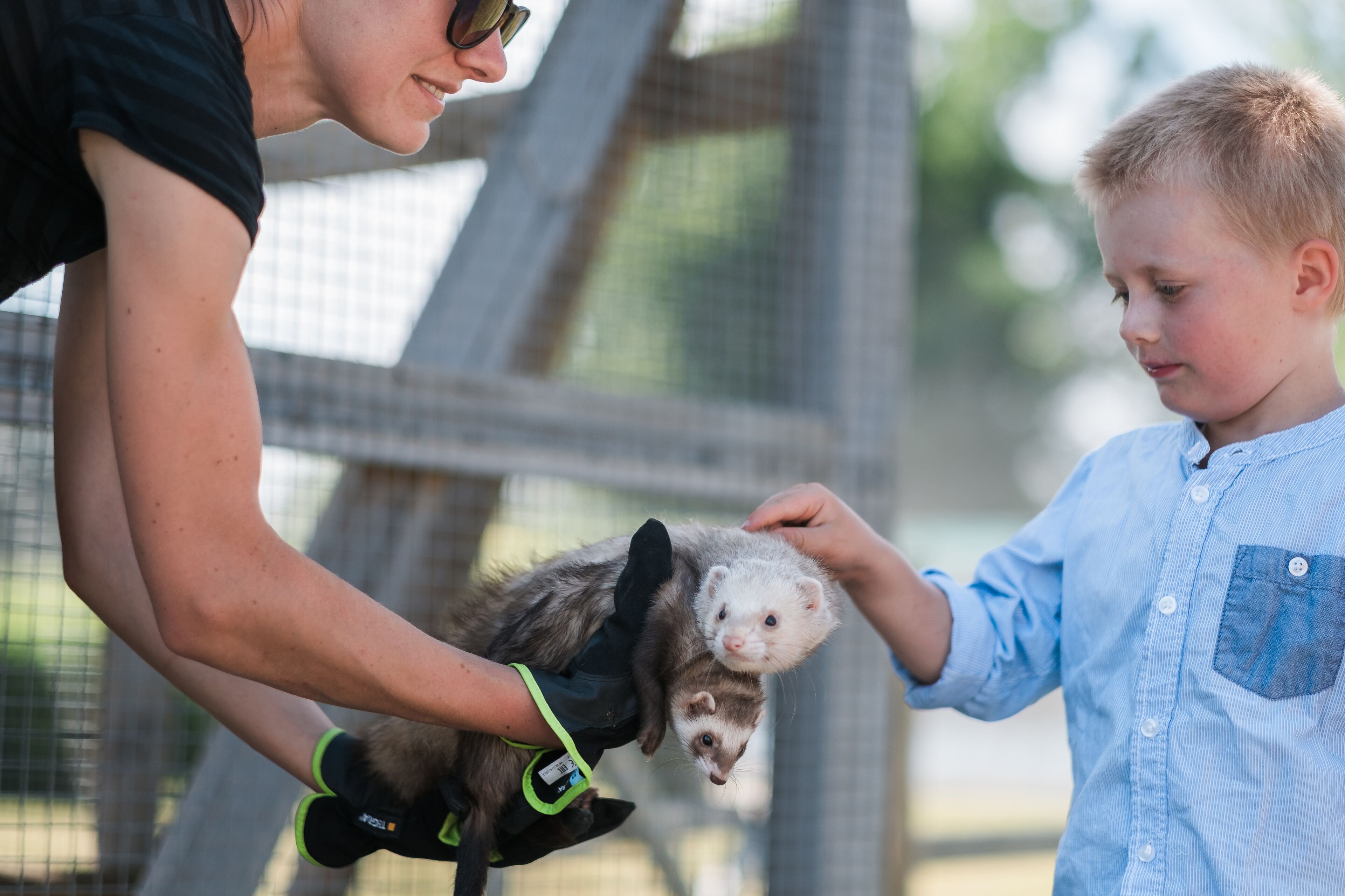 children’s activities