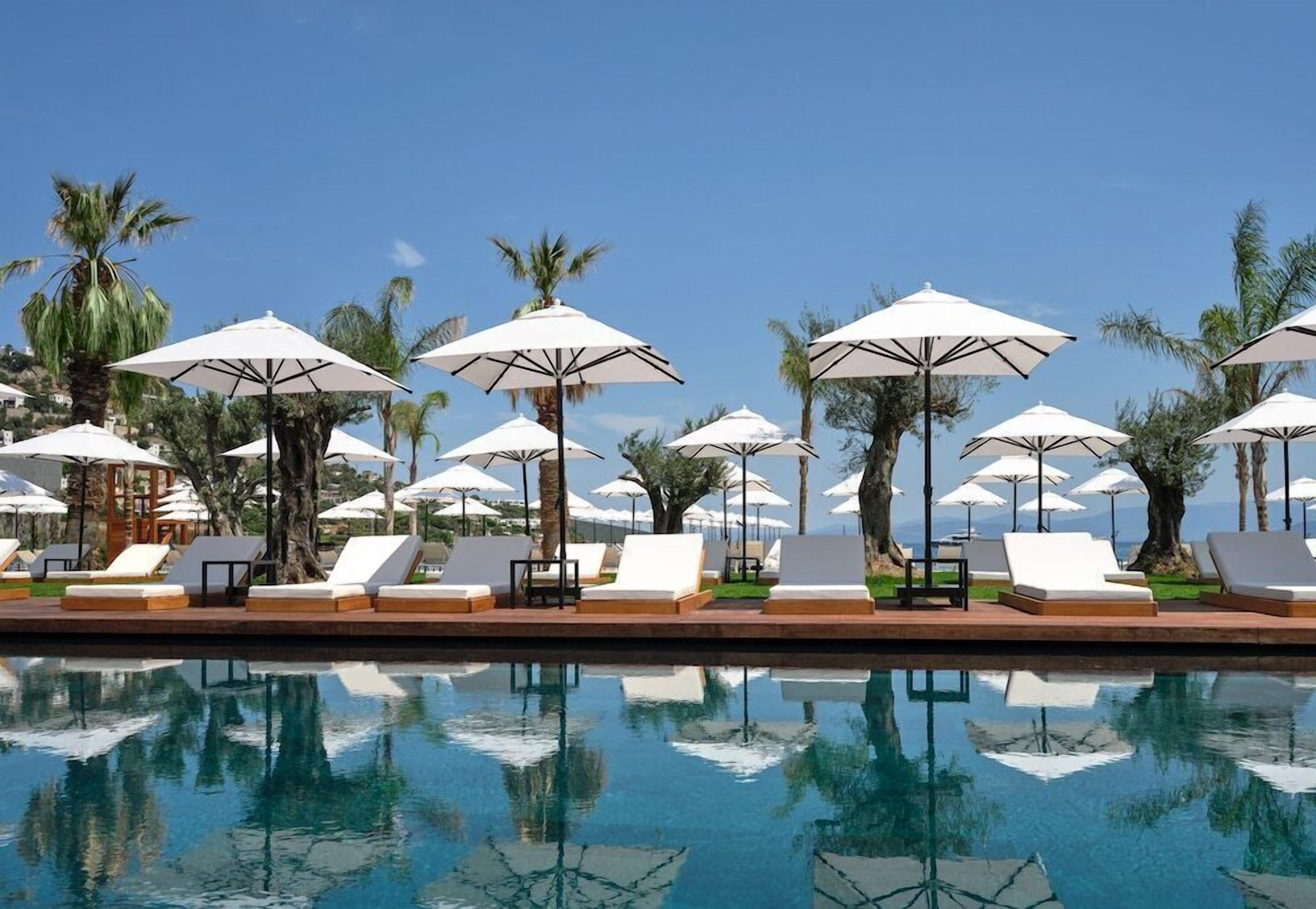 Una piscina al aire libre, sombrillas, tumbonas
