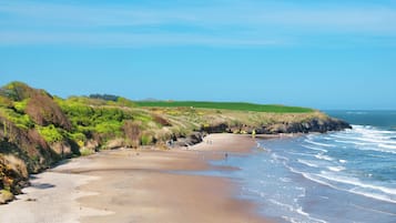 Vlak bij het strand