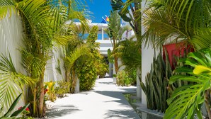 A pathway flanked by lush tropical plants leading to a building with a white facade and a flag. - Lani's Suites de Luxe  (Tias)