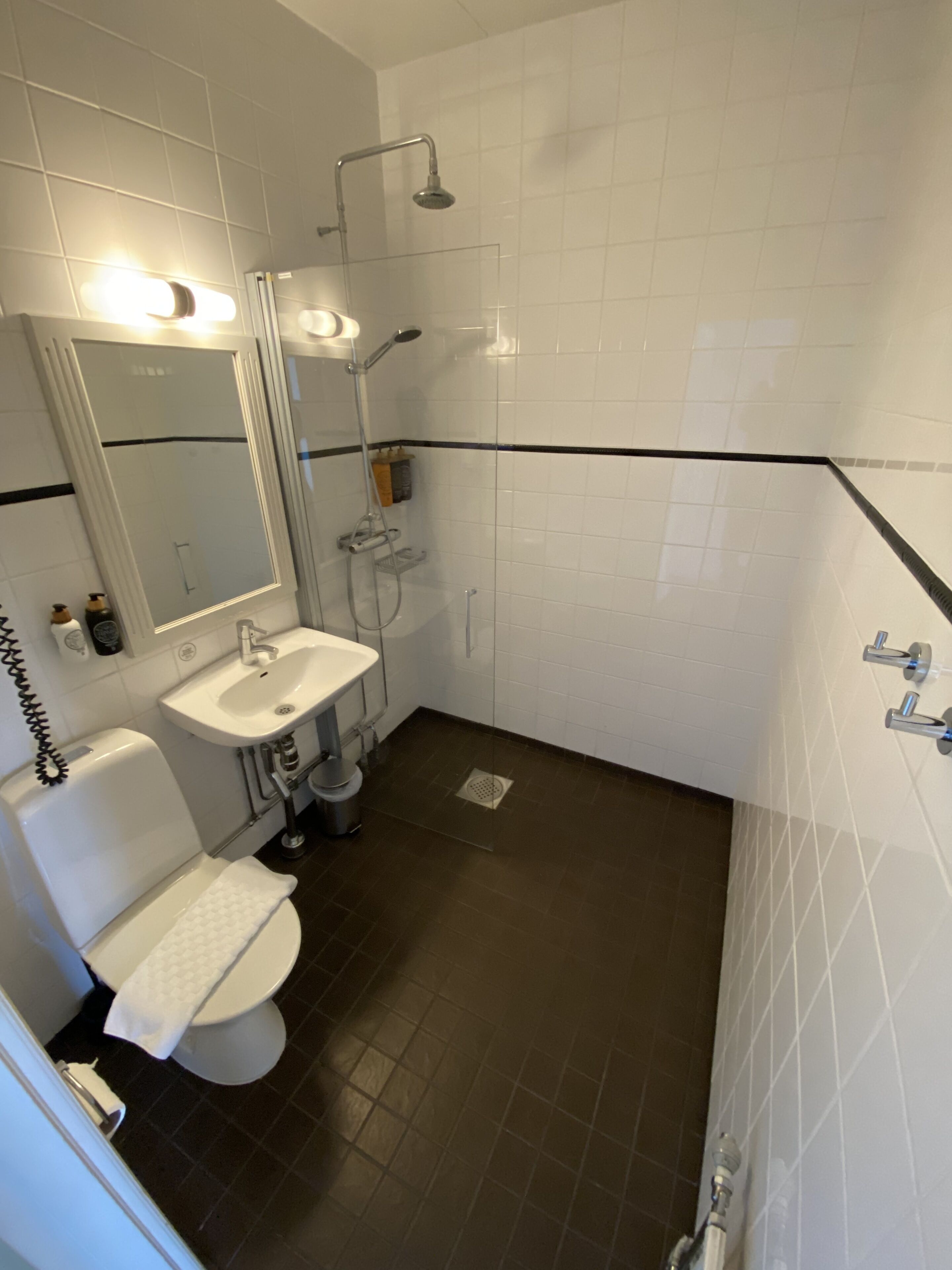 Un baño moderno con inodoro, lavamanos y ducha.