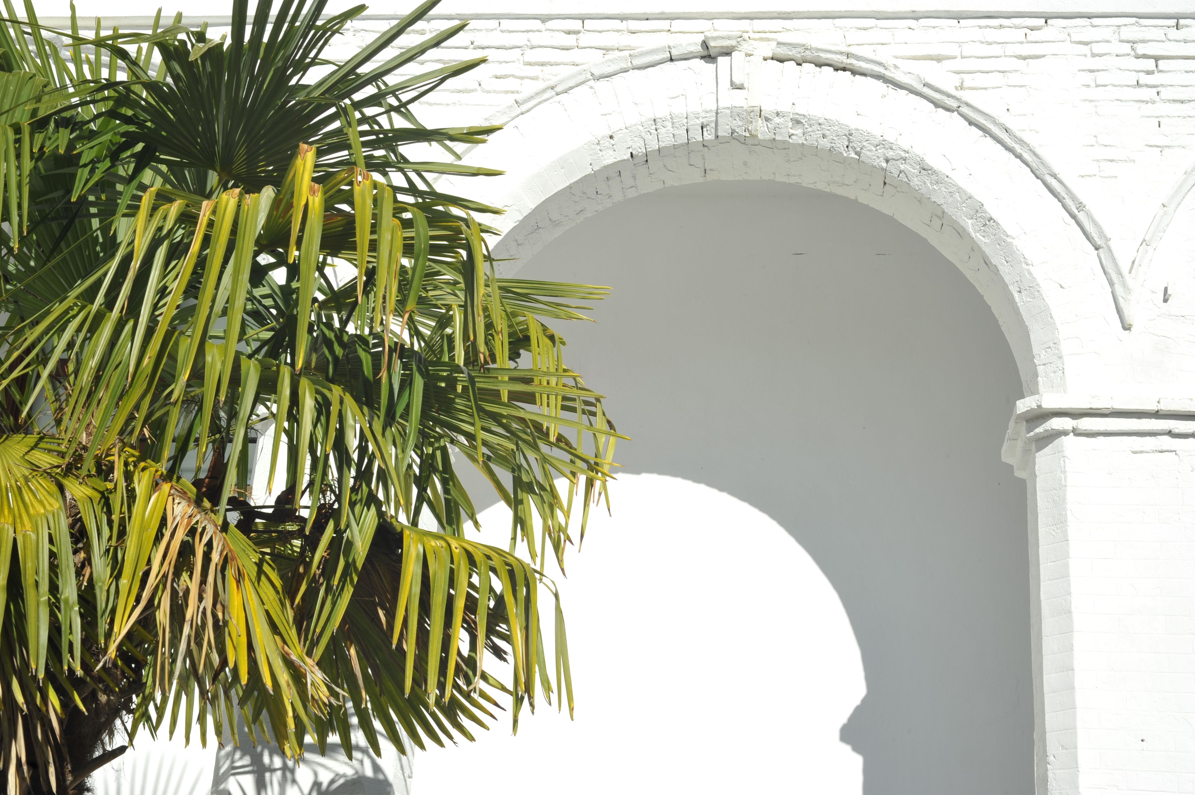 Pared de ladrillo blanco con un amplio arco.