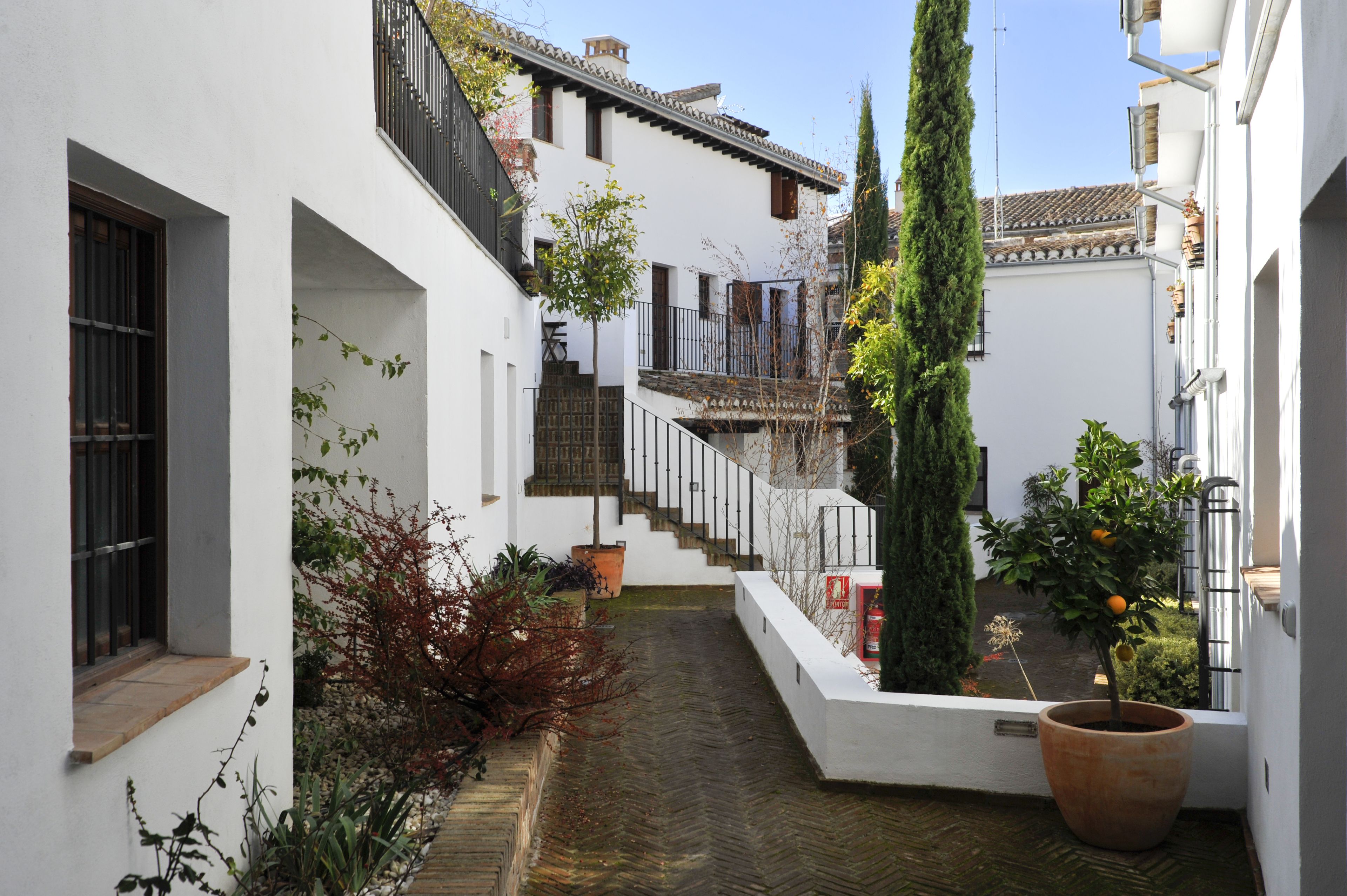 Un patio estrecho con una escalera que sube a un segundo piso, rodeado de paredes blancas y plantas en macetas.