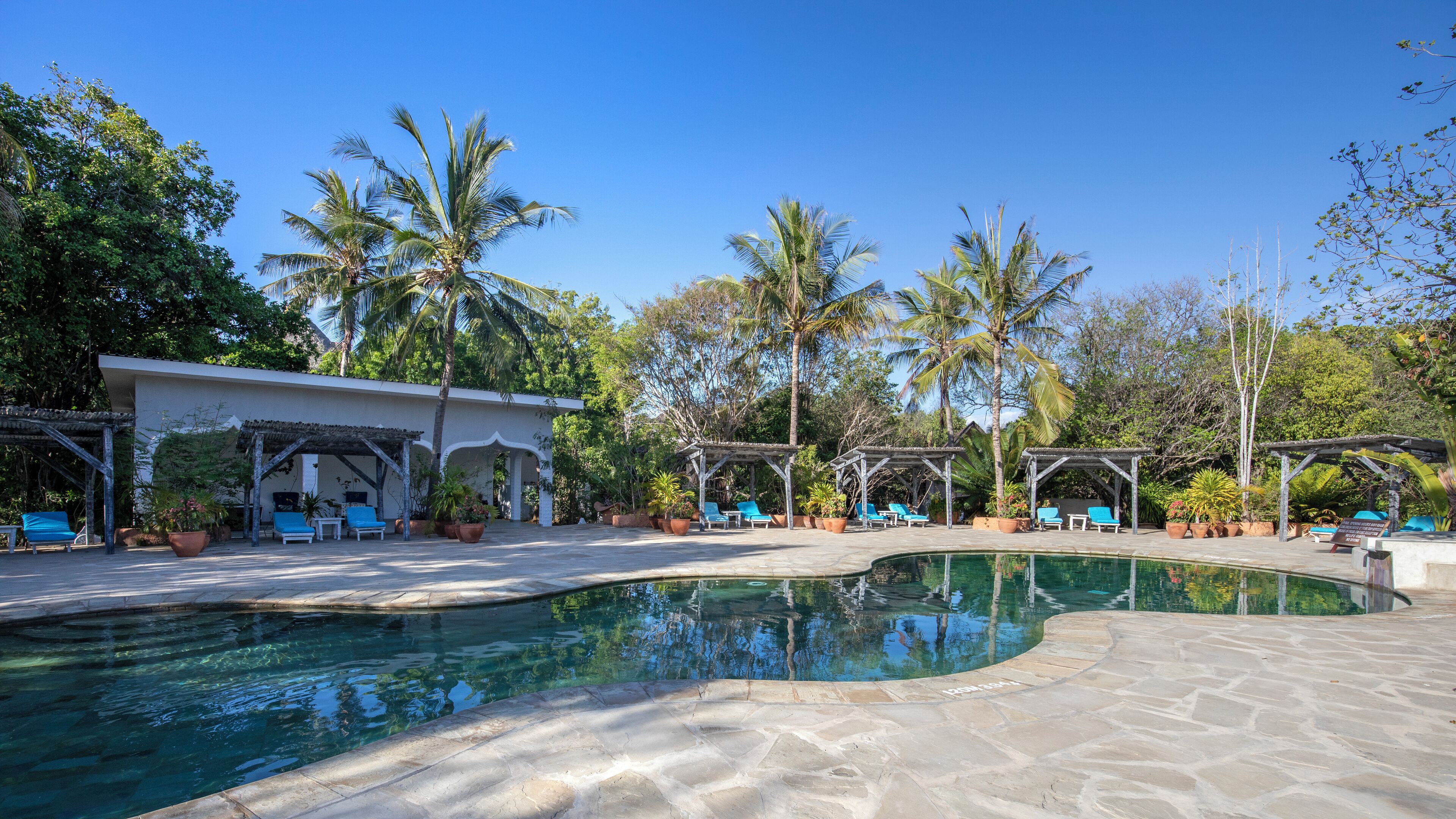 A pool area with lounge chairs and a covered seating area, surrounded by palm trees and a building with a white facade.