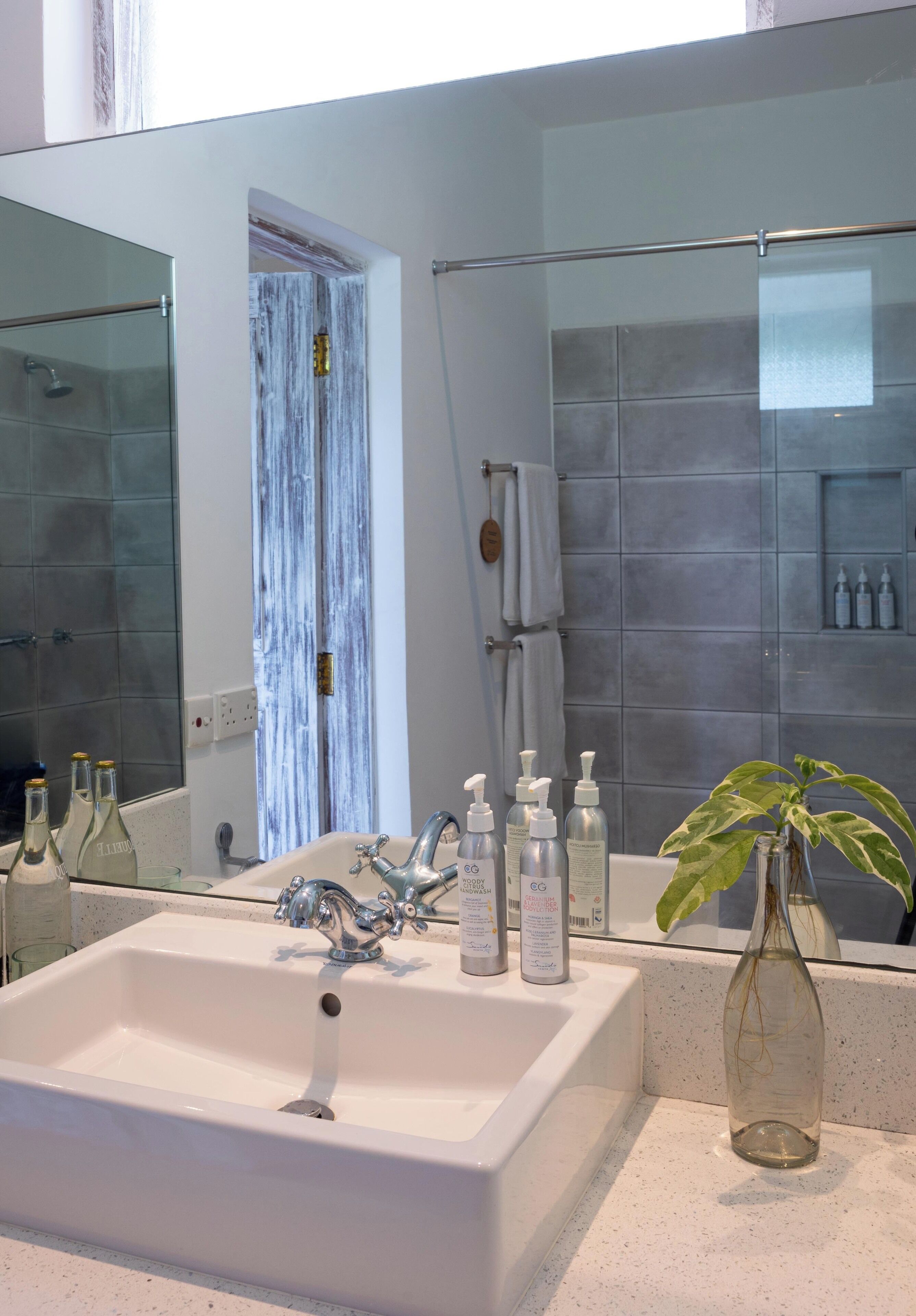 Een moderne badkamer met een groot wit wastafelmeubel, een glazen douchecabine en een pot met een plant.
