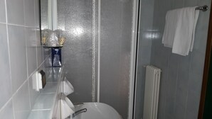 Shower, hair dryer, bidet - Hotel Papillon (San Polo d'Enza)