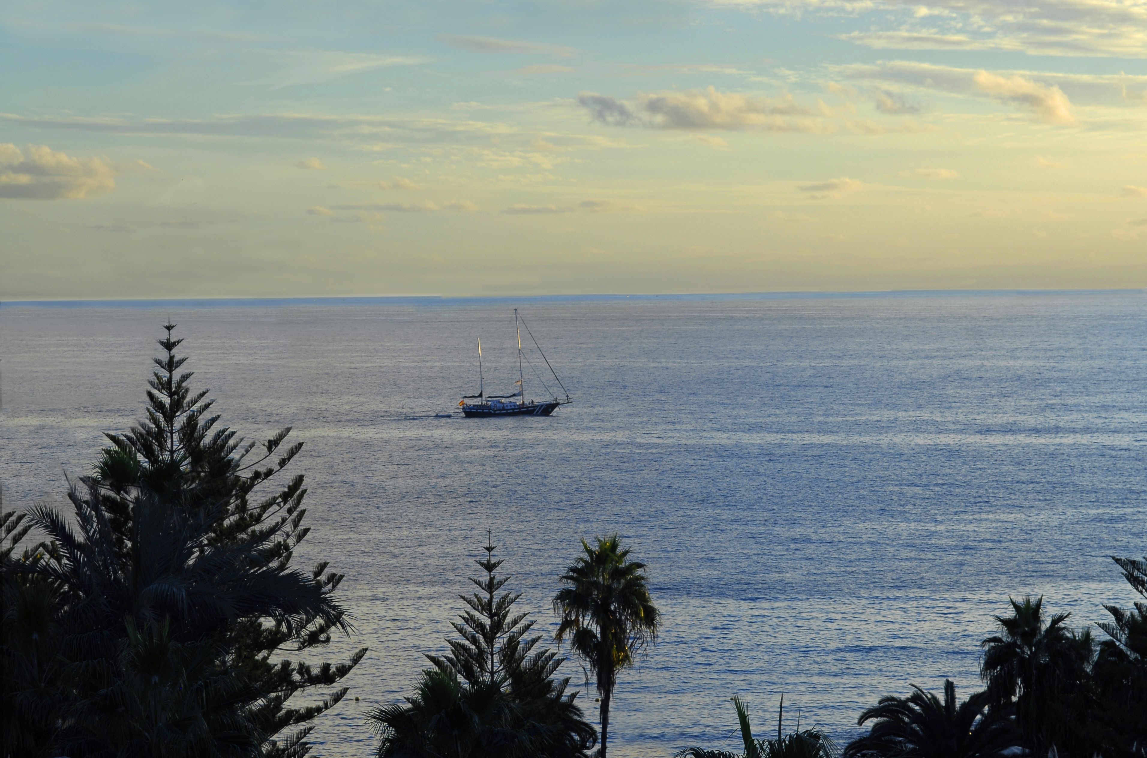 Mar tranquila con un barco a lo lejos, rodeado de palmeras.