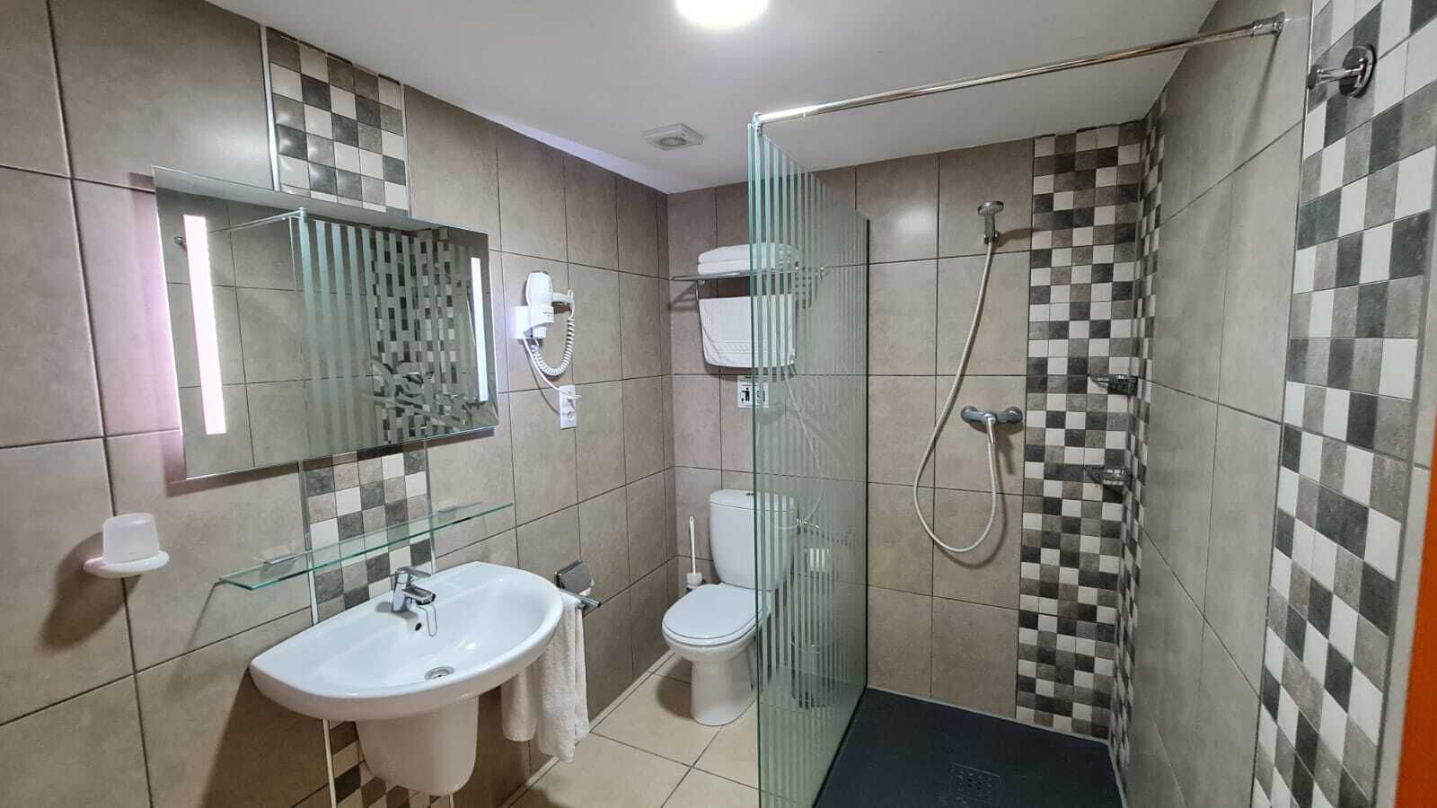 A modern bathroom with a glass shower enclosure, a white sink, and a toilet.