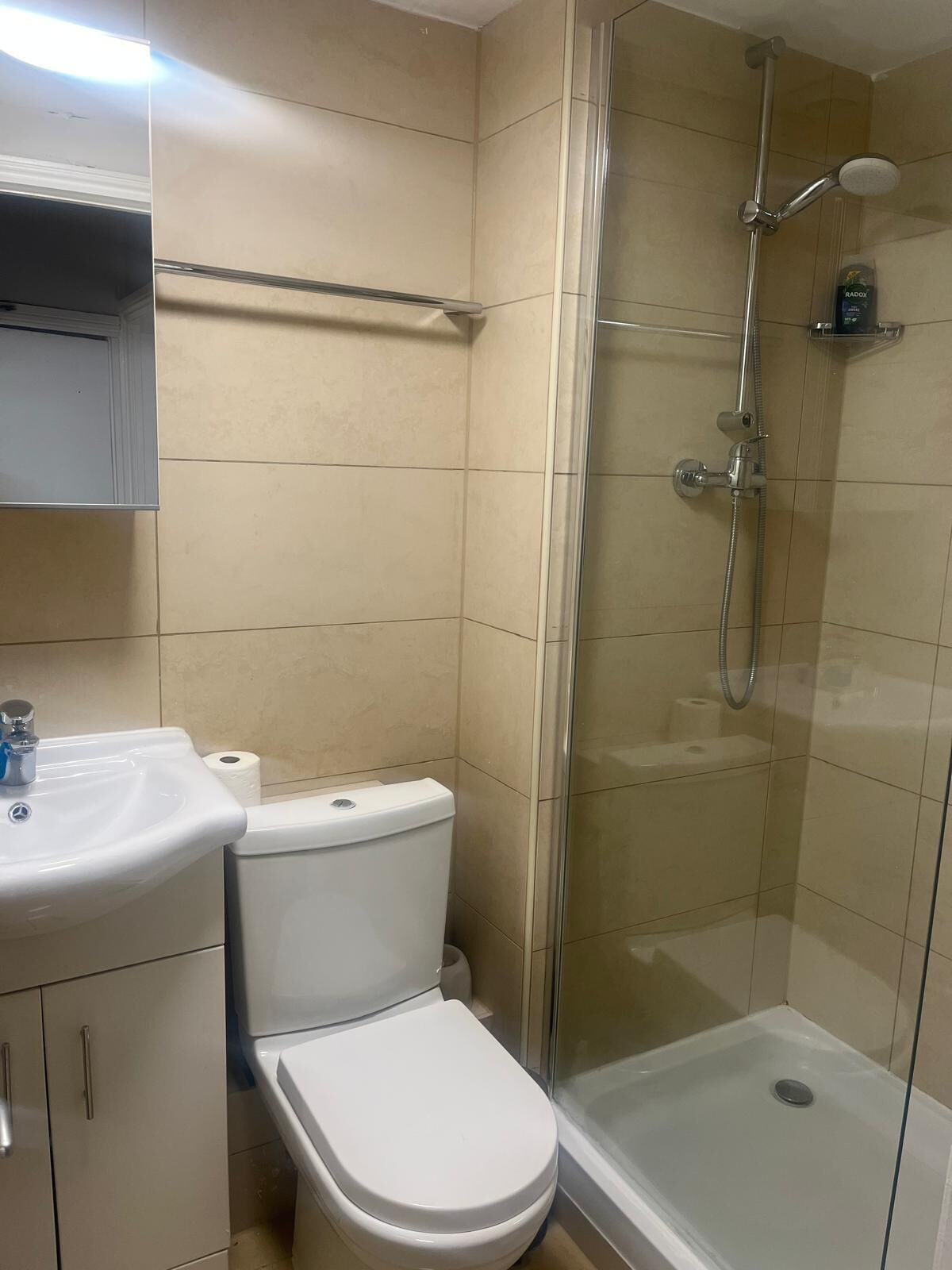A bathroom with a toilet, sink, and glass-enclosed shower.