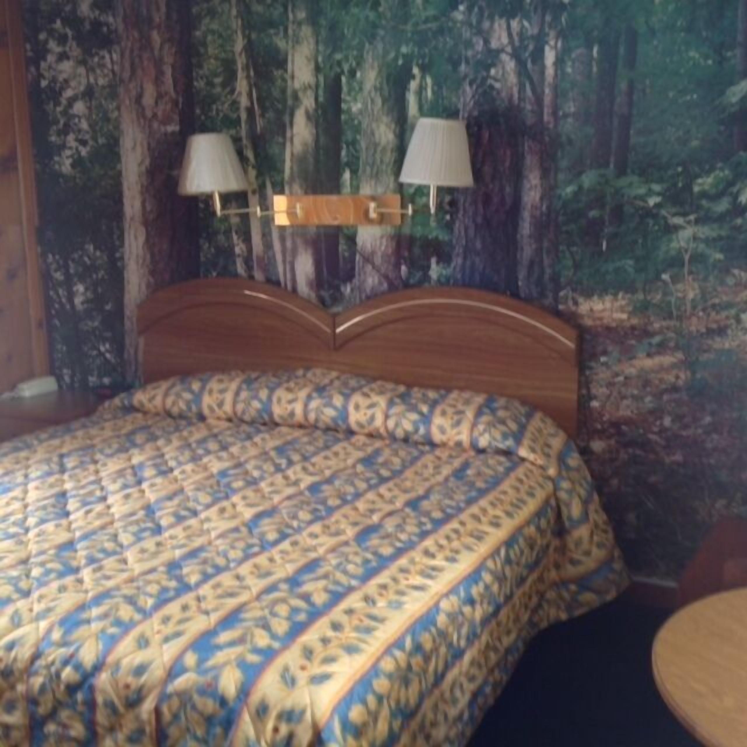 A bed with a patterned bedspread, two wall-mounted lamps, and a forest-themed wall mural.