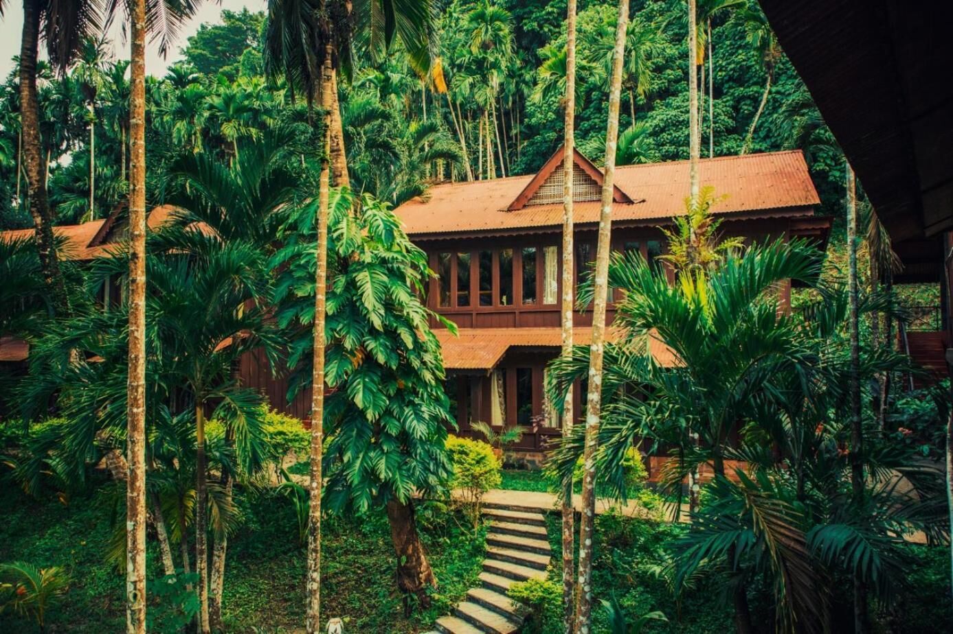 Una casa de fusta envoltada de vegetació tropical exuberanta.