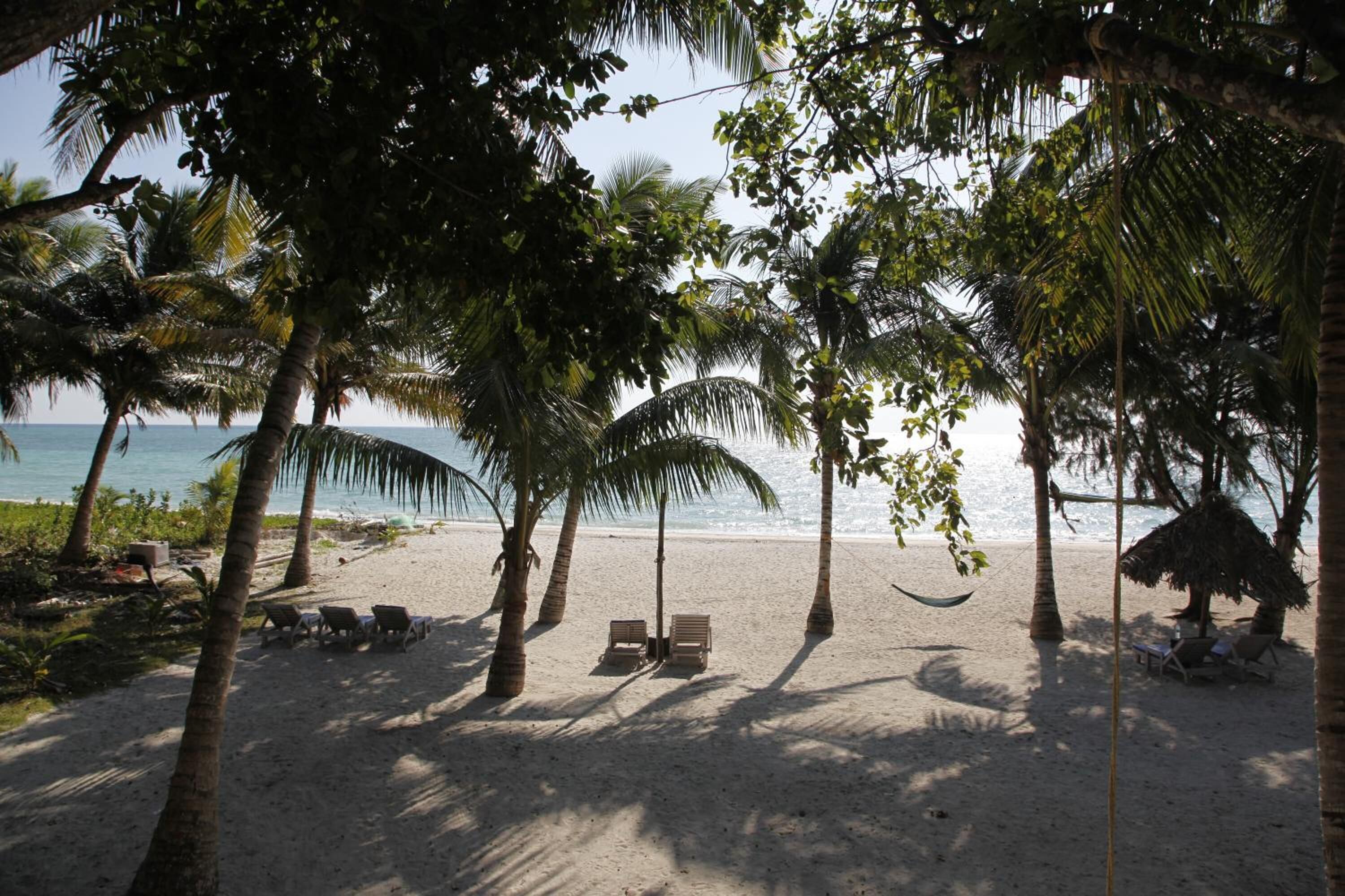 A beach with palm trees, a hammock, and lounge chairs.