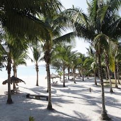 Beach nearby, white sand, sun-loungers, scuba diving