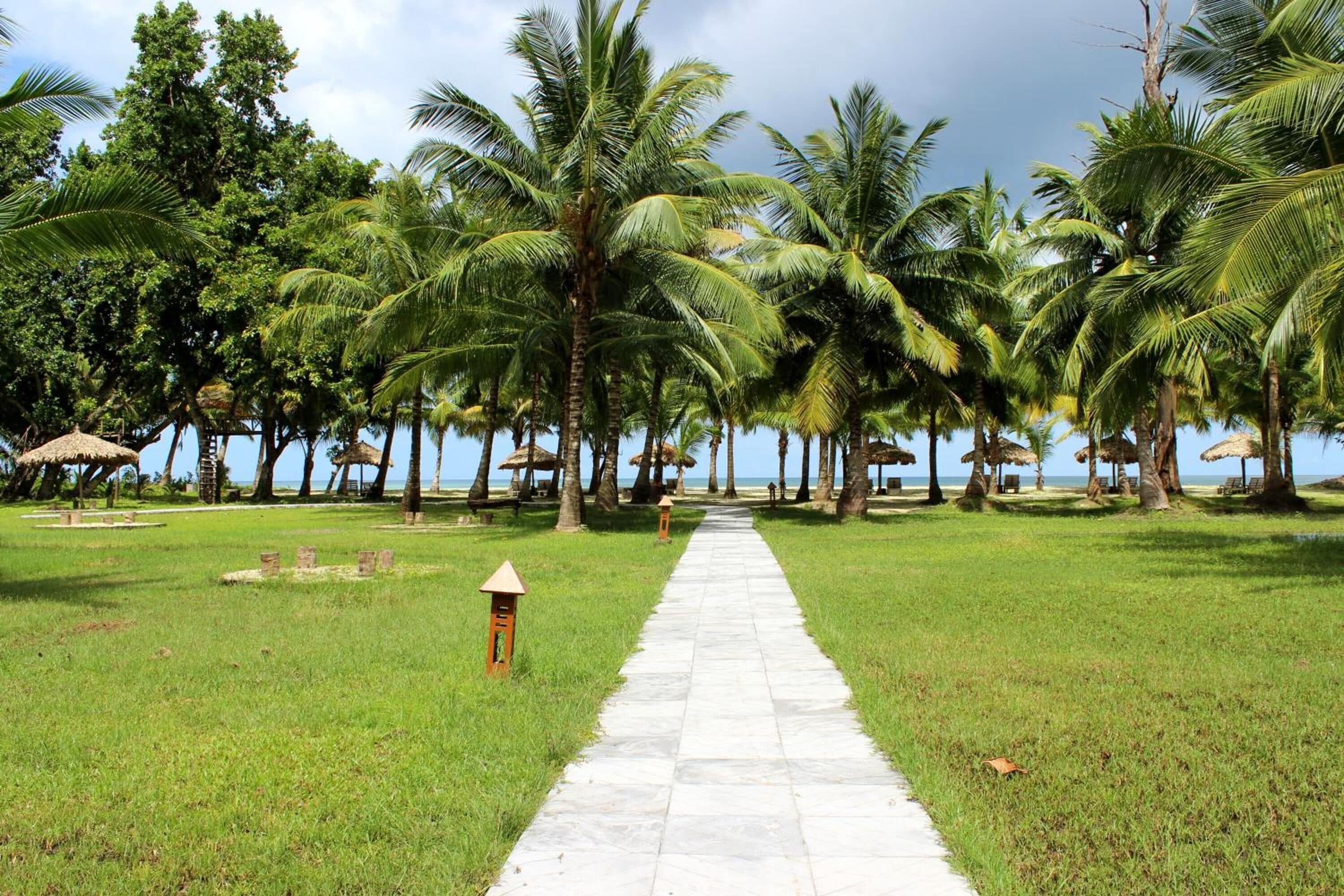Un camino bordeado de palmeras que lleva a una zona de playa con sombrillas de paja.