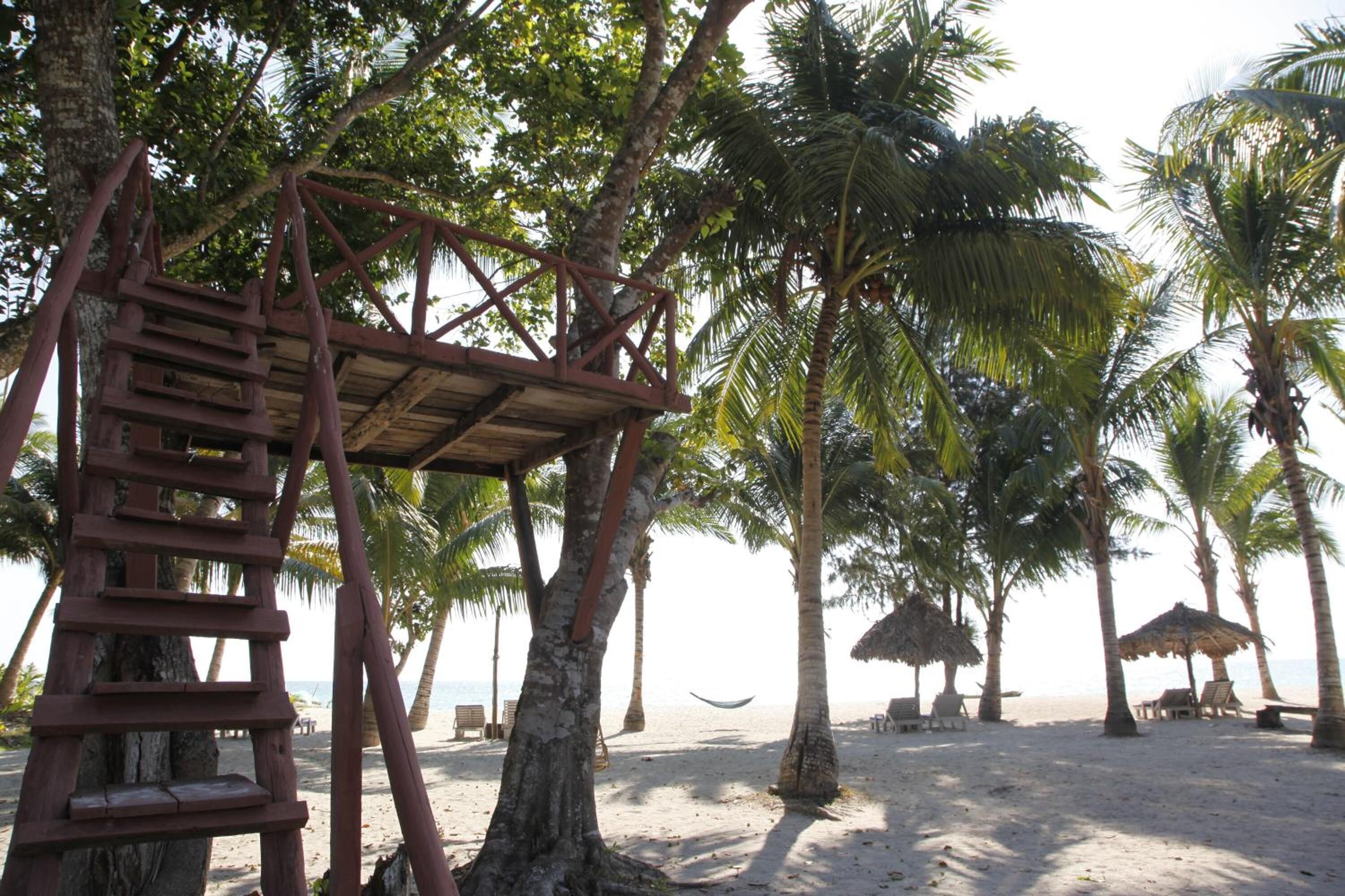 A beach with palm trees, a wooden structure, and a hammock.