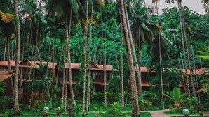 A resort with multiple bungalow-style buildings surrounded by dense tropical vegetation and a central pathway. - SilverSand Beach Resort (Port Blair)