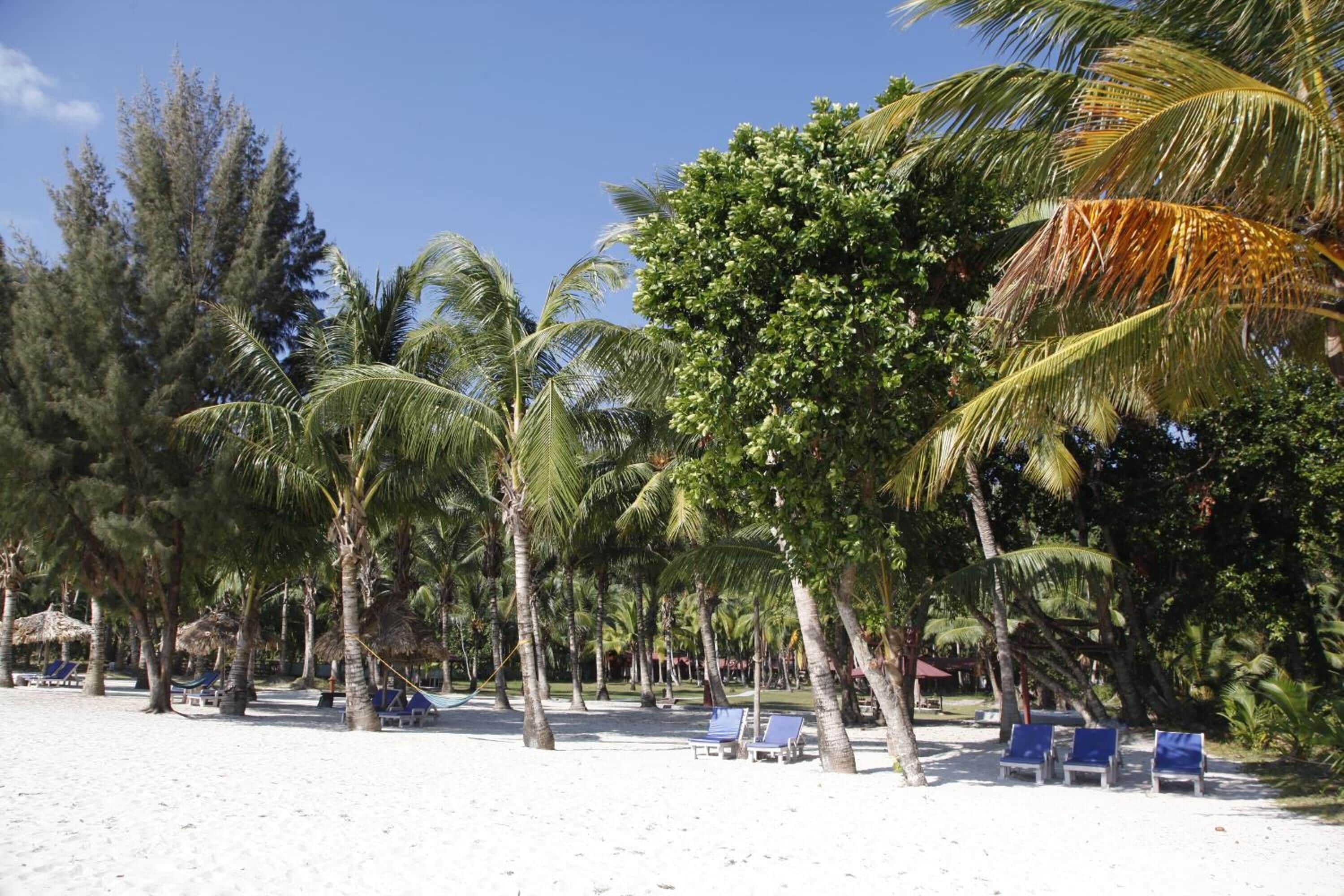 Plage à proximité, sable blanc, chaises longues, plongée sous-marine