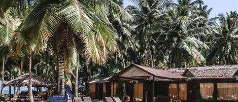 A pool area with lounge chairs, a wooden deck, and palm trees.