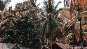 A couple embracing in a clear blue pool surrounded by thatched-roof huts and palm trees. - SilverSand Beach Resort (Port Blair)