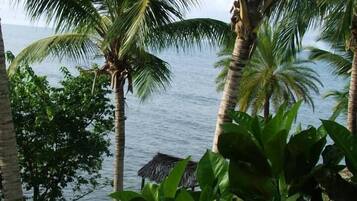 A view of a beach with palm trees and a hut in the background.