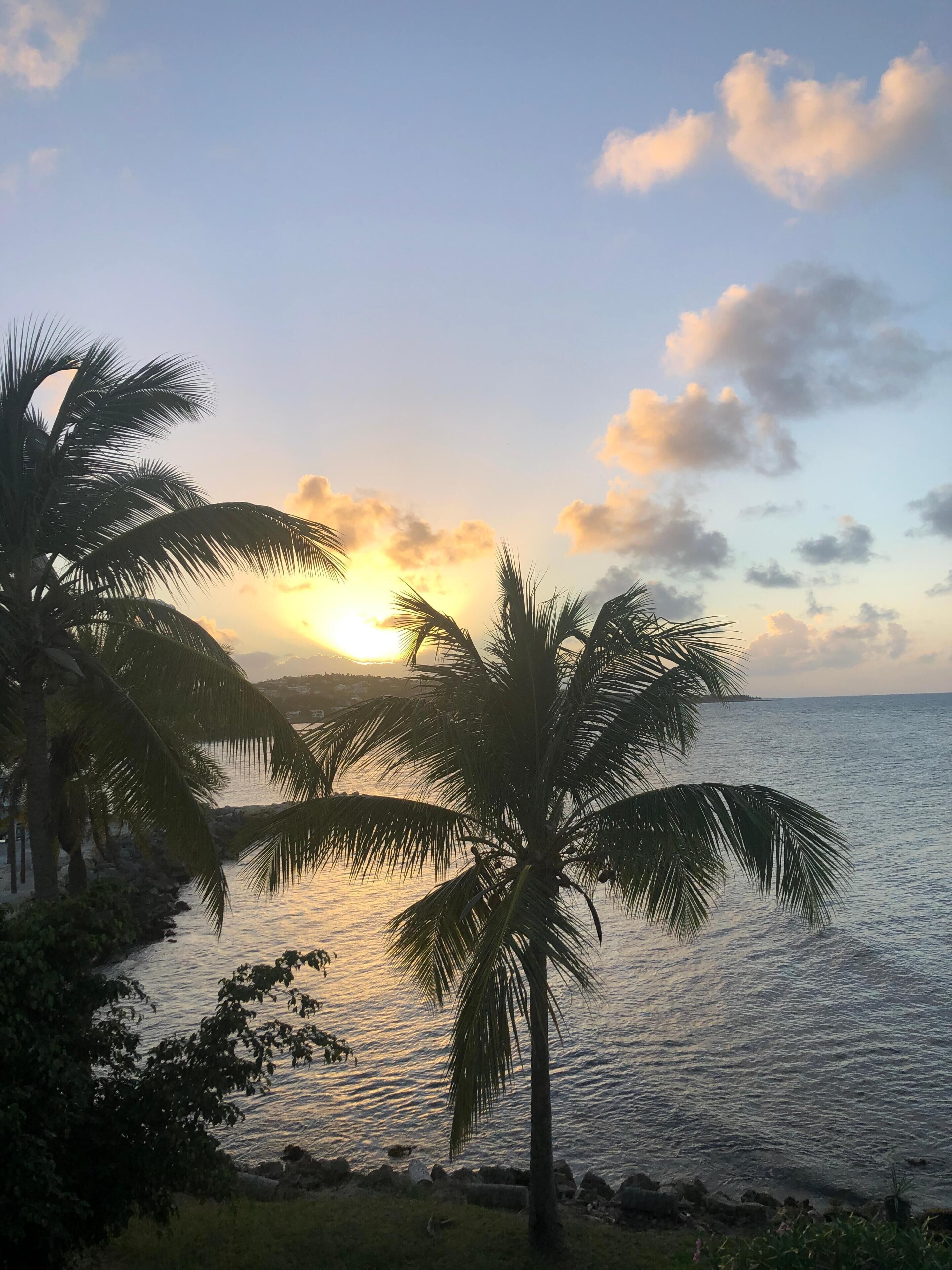 A sunset over a calm sea with palm trees in the foreground.