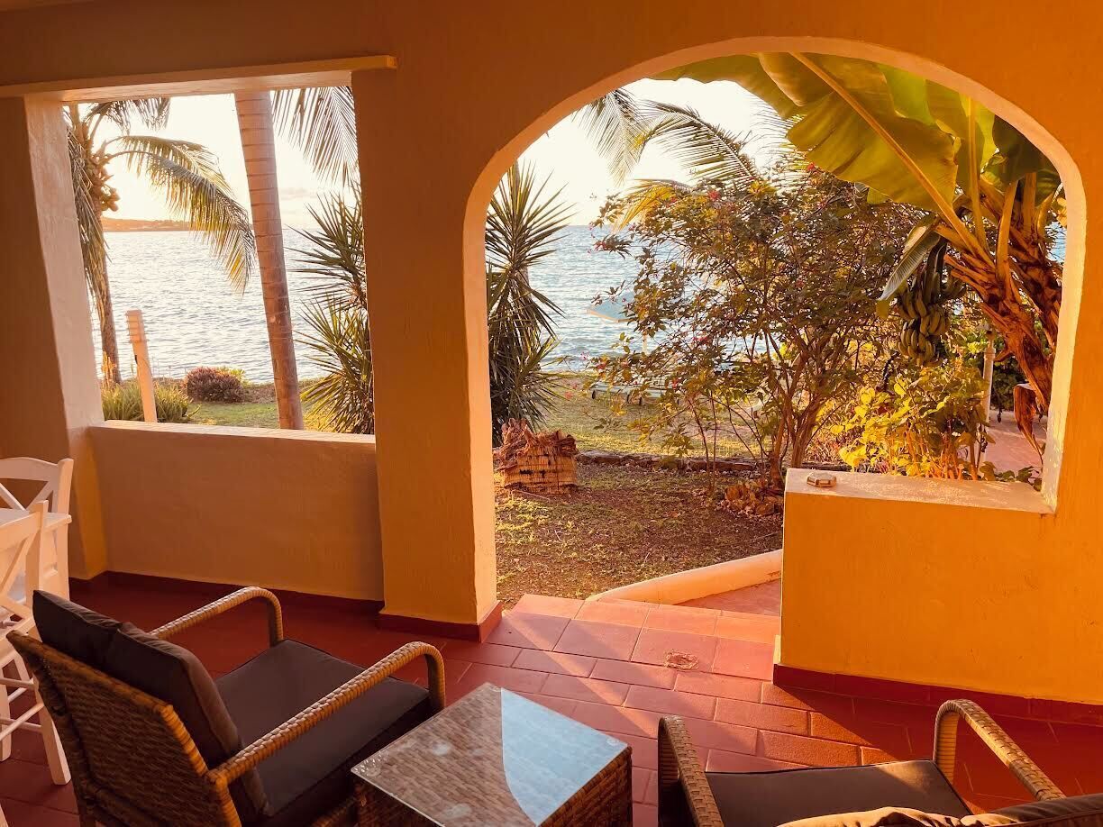 A room with a view of the sea, a wicker chair, a small table, and a window with a view of palm trees and a banana plant.
