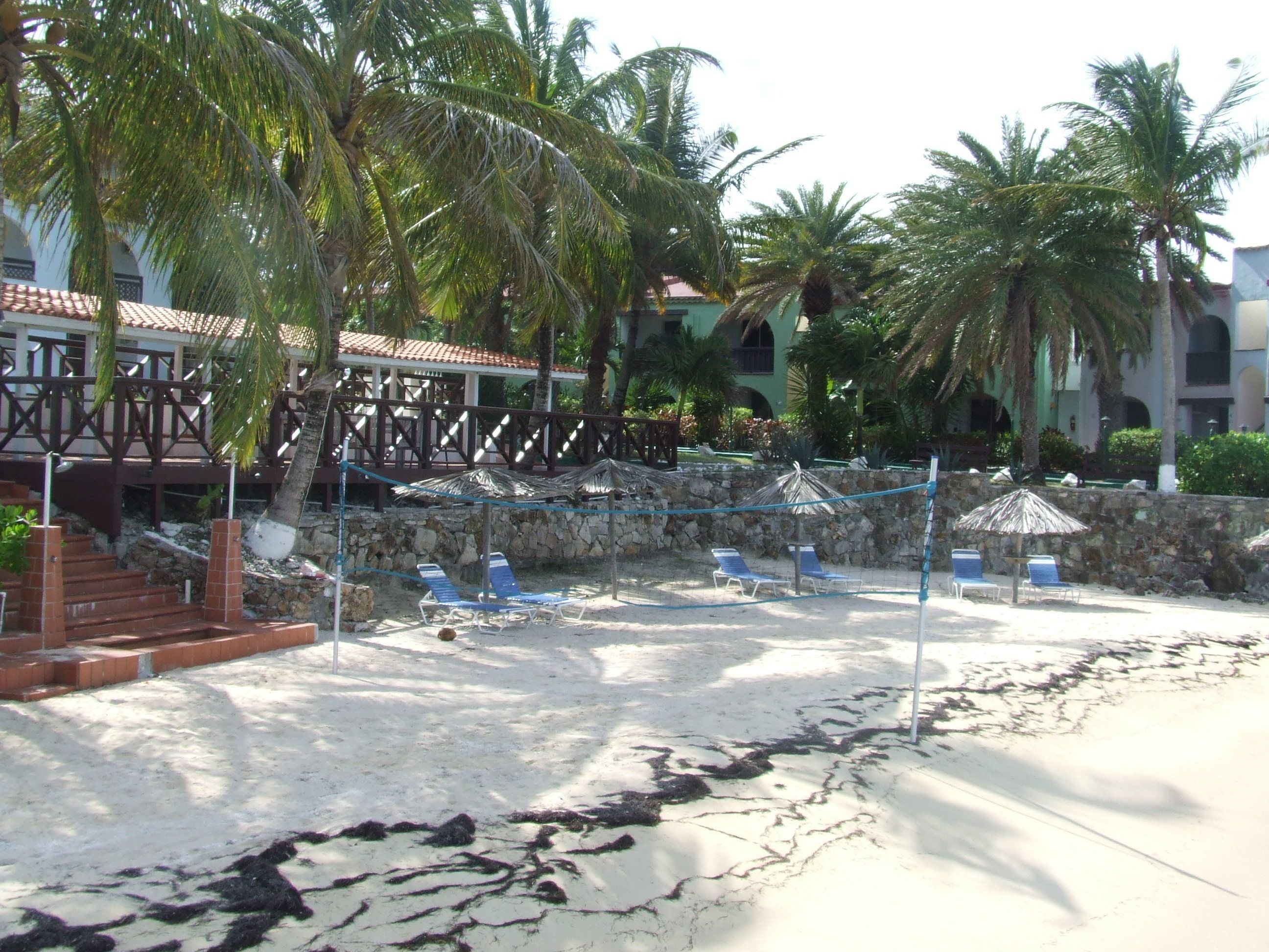 A beach area with lounge chairs and umbrellas, palm trees, and a stone wall.