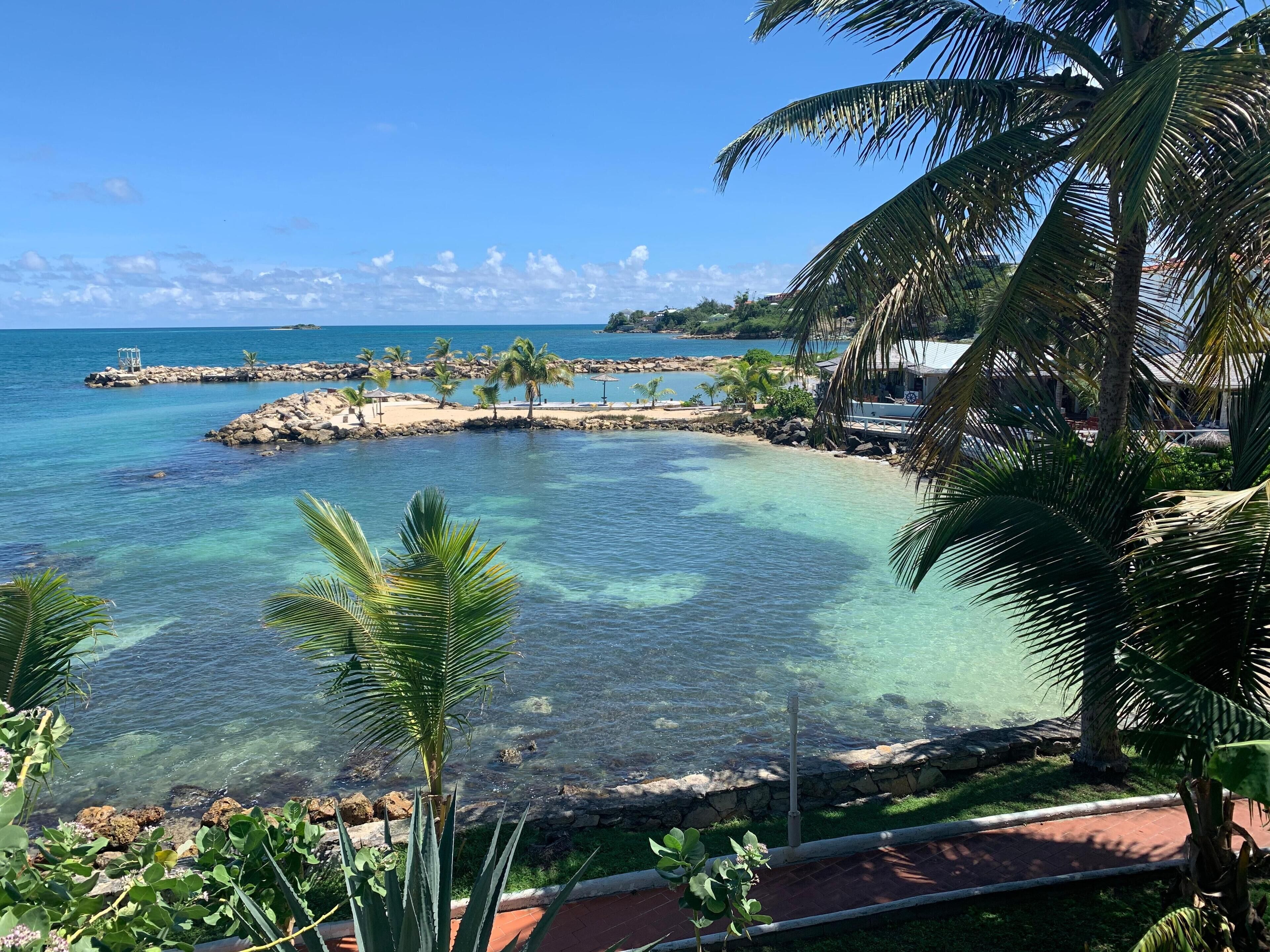 Une vue sur la côte, avec une eau turquoise cristalline, des palmiers et une digue rocheuse.