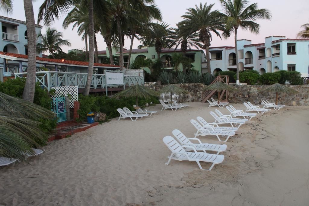 A beach with white lounge chairs arranged in rows, palm trees, and a building with a red roof in the background.