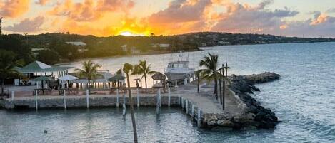 A waterfront view with a dock, palm trees, and a sunset.
