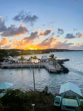 A waterfront view with a dock, palm trees, and a sunset.