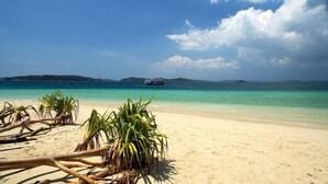 A beach with clear turquoise water, a boat in the distance, and palm trees in the foreground. - Silver Sand Sea Princess Beach Resort (Ferrurgunj)
