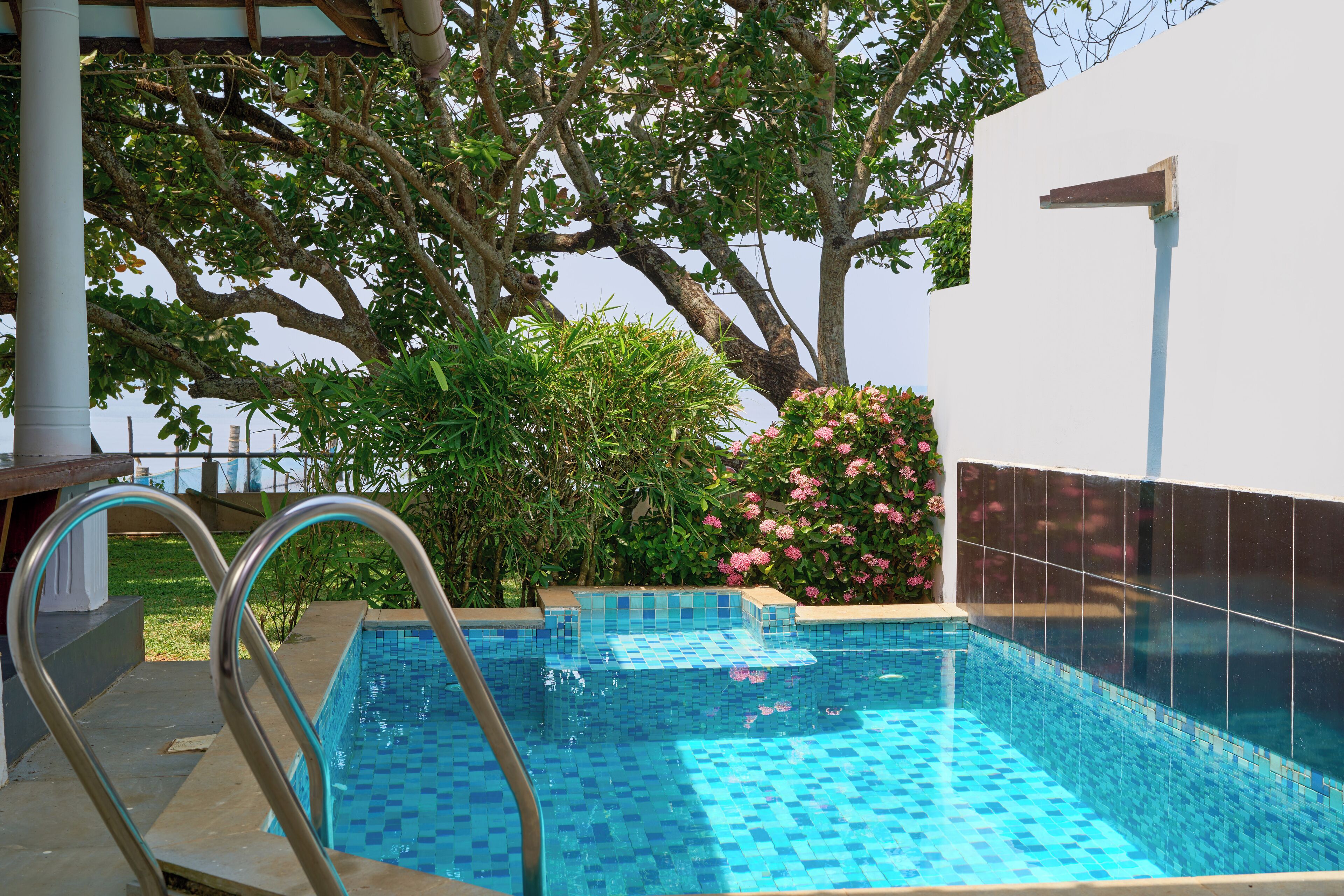 A rectangular pool with blue mosaic tiles, surrounded by greenery and a white wall.