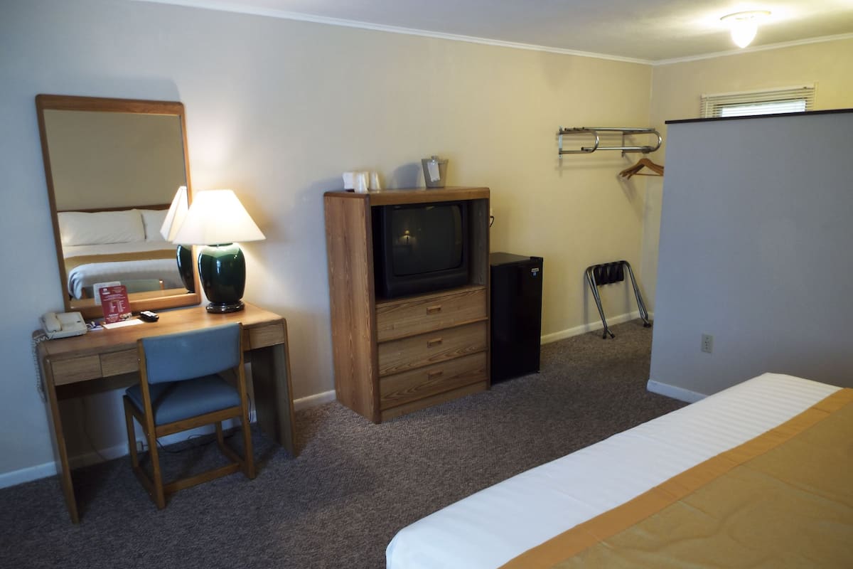 Standard Room, 1 King Bed, Allergy Friendly | Iron/ironing board (on request), cribs (surcharge), WiFi (free)