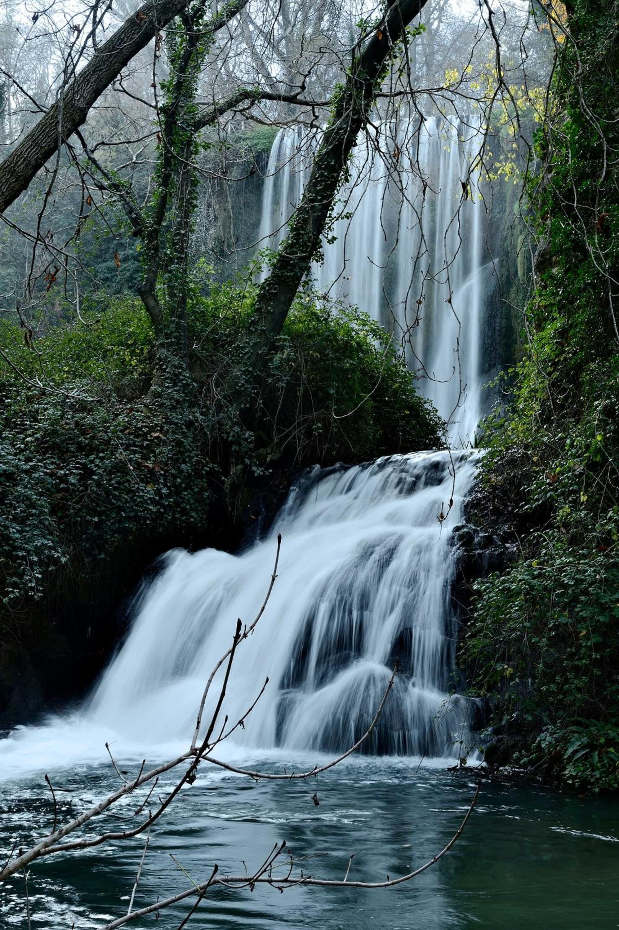 A waterfall surrounded by dense forest.