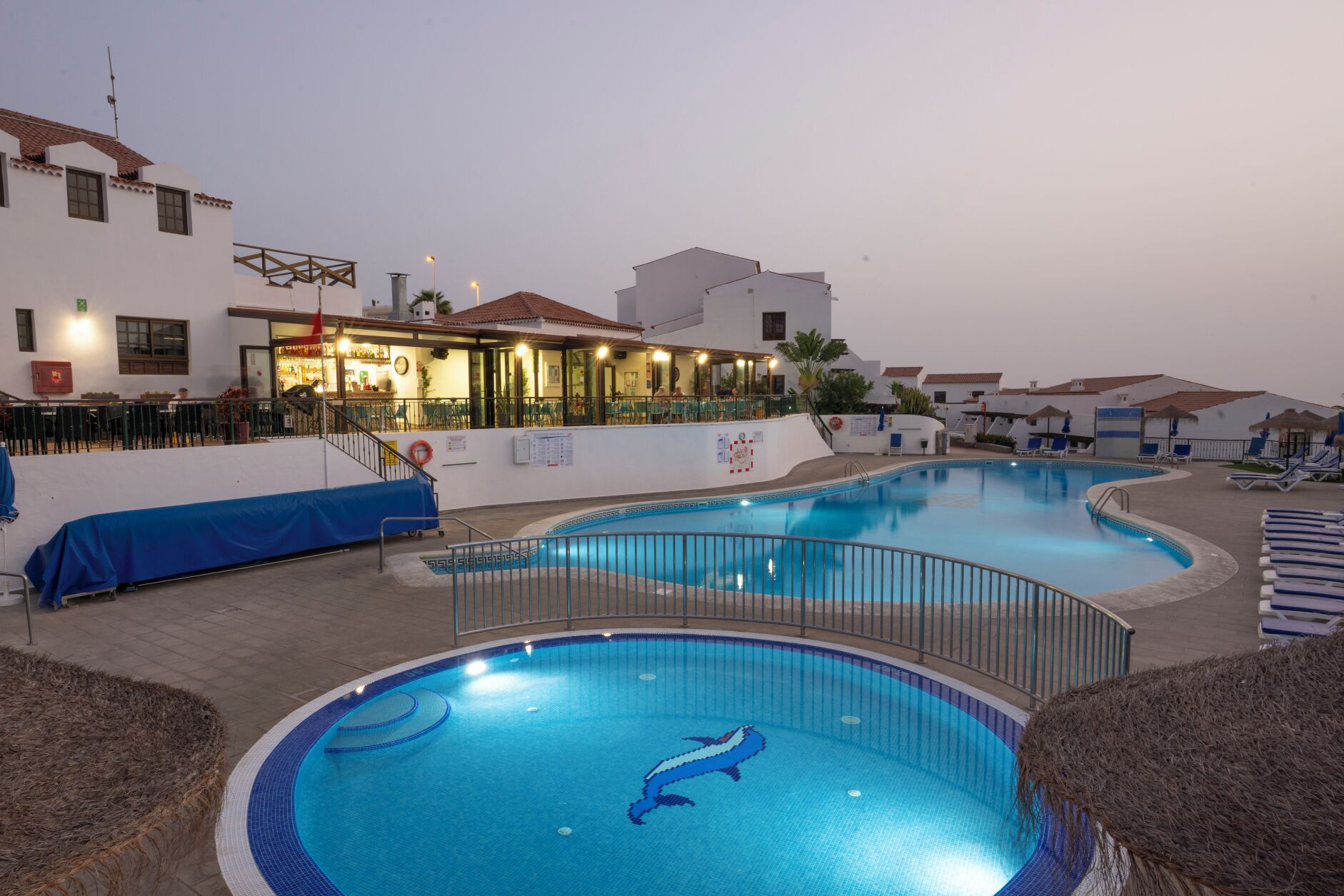 Zona de piscina con un mosaico de delfín, sillas de descanso y un área de bar/lounge con asientos al aire libre.