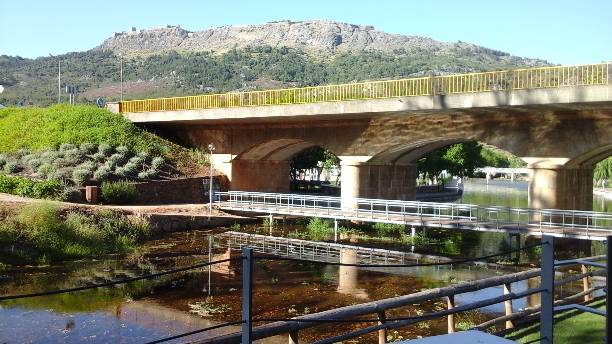 外觀
