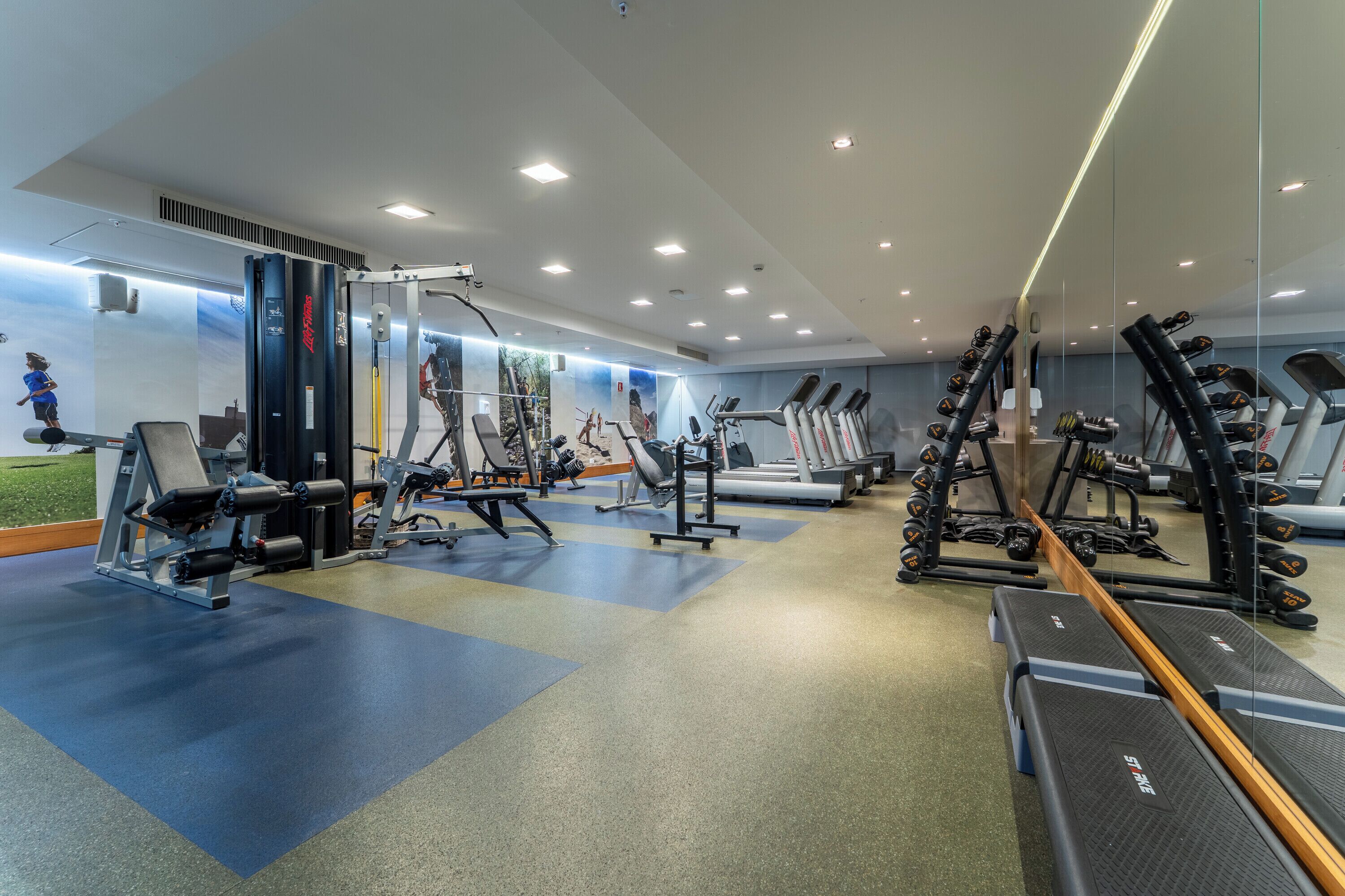 Gimnasio