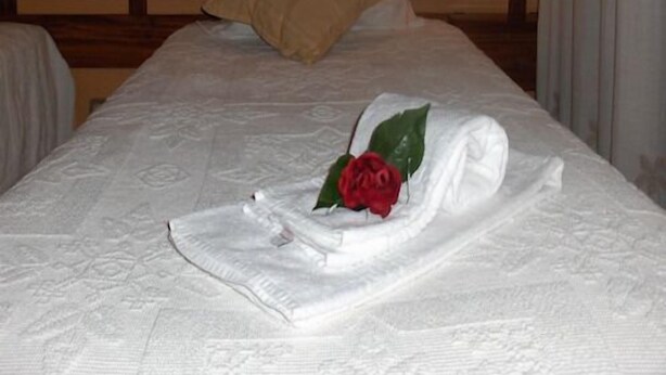 A neatly made bed with a white comforter, a red rose, and a folded towel.
