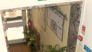 A hallway with a staircase, potted plants, a fire extinguisher, and a sign reading "SAIDA".