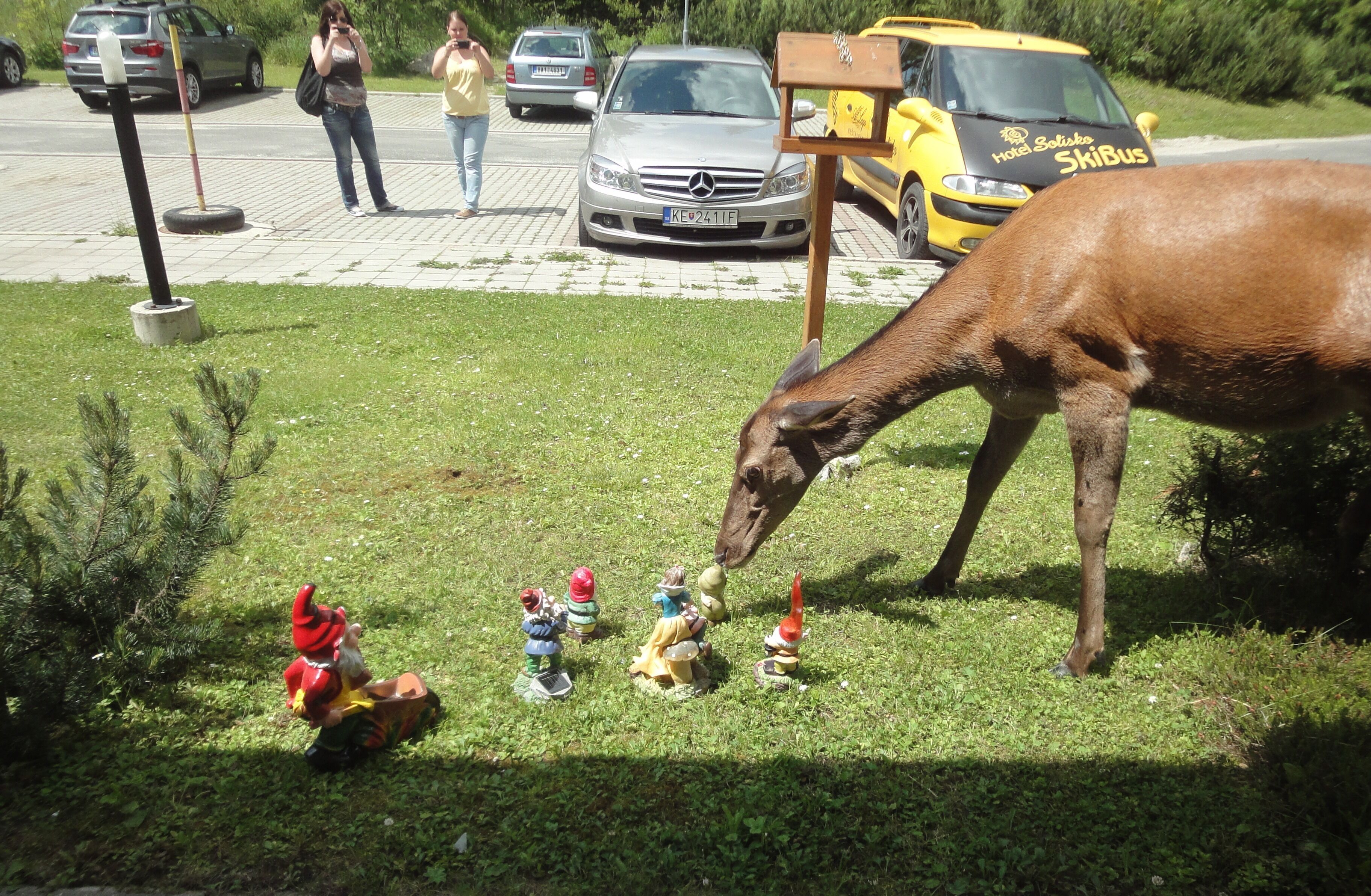 standard room, 1 double bed, lake view | premium bedding, minibar, in-room safe, desk