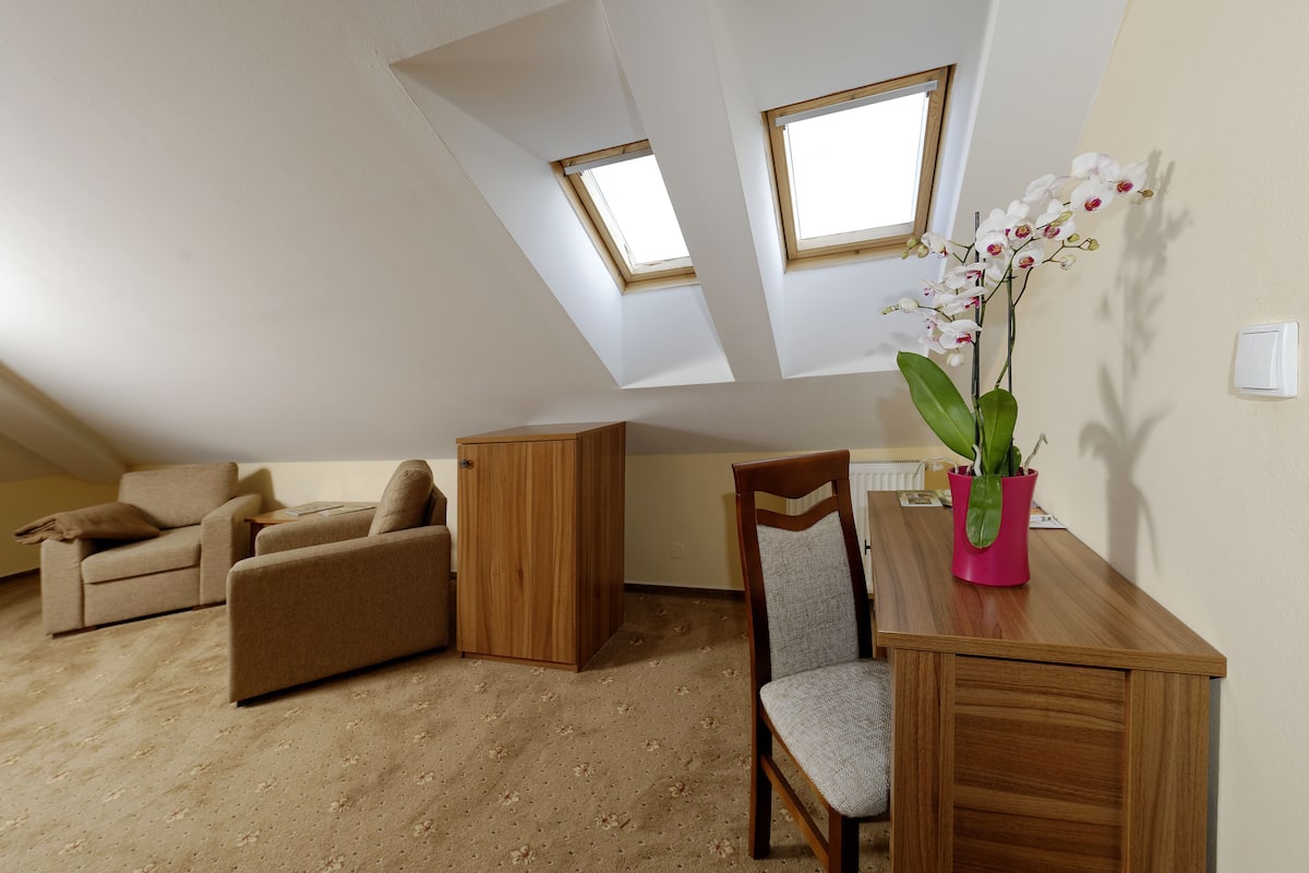 deluxe room, 1 double bed | living area | 120-cm flat-screen tv with satellite channels, tv, dvd player