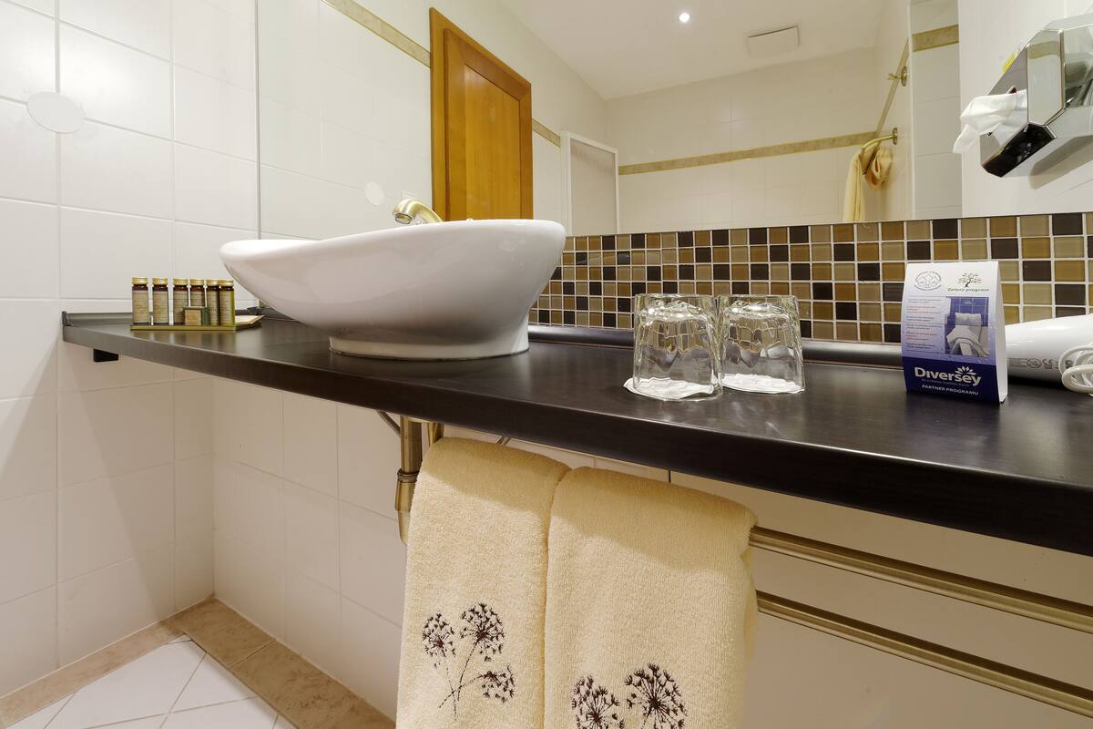 standard room, 1 double bed, lake view | bathroom | combined shower/bathtub, designer toiletries, hair dryer, dressing gowns