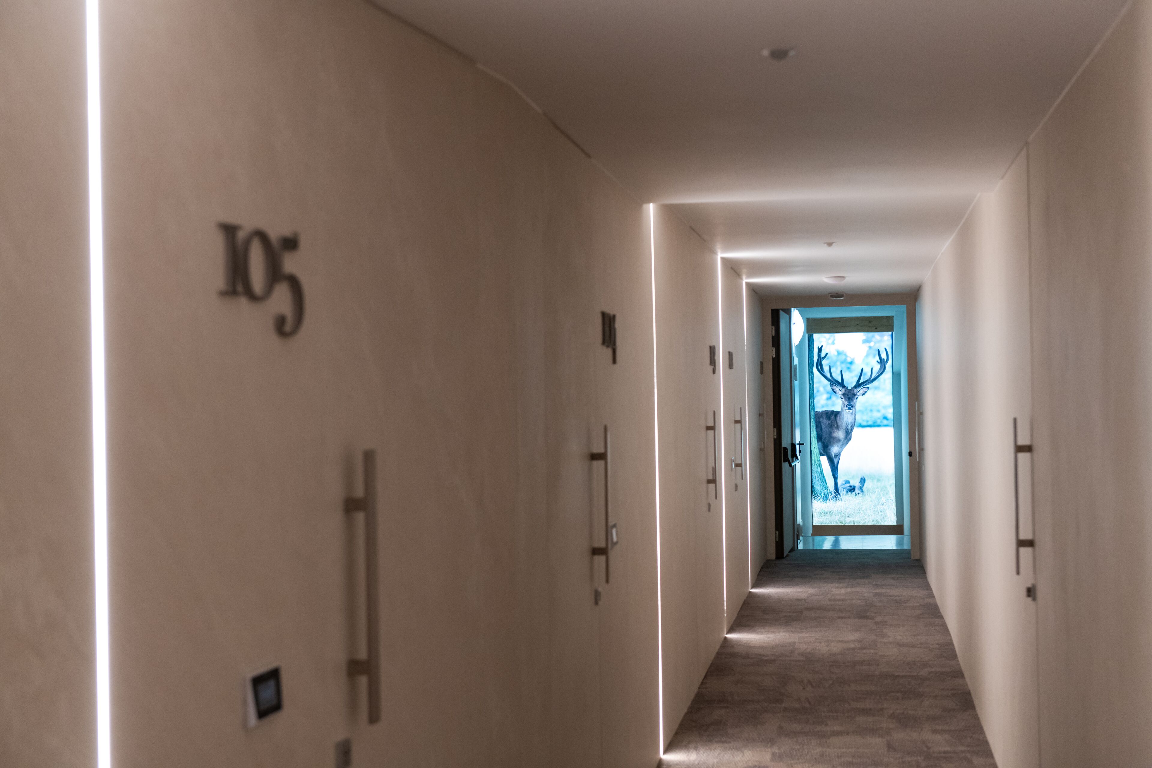 A hallway with a number '105' on the wall, leading to a door with a deer silhouette.